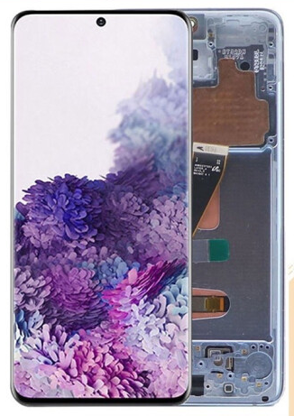 S20(G9910)